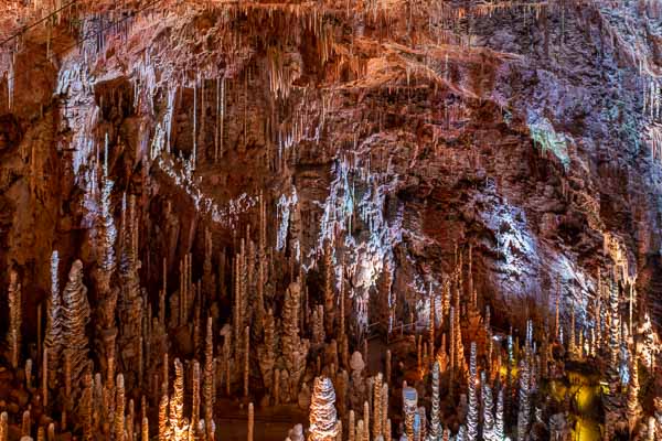 Causse Méjan, aven Armand : forêt de stalagmites