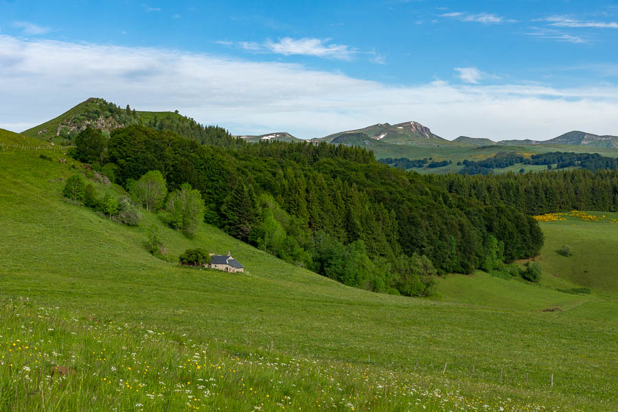 Buron et massif du Sancy