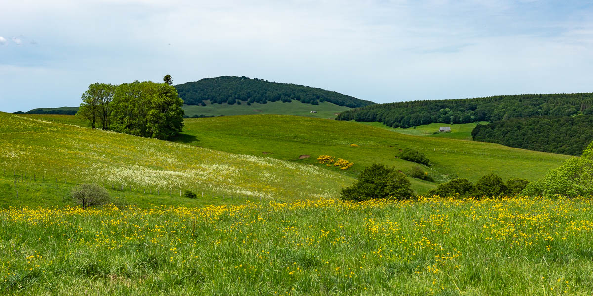 Puy de la Vaisse, burons