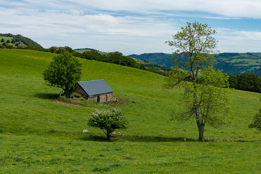 Cézallier : buron de Malsagne