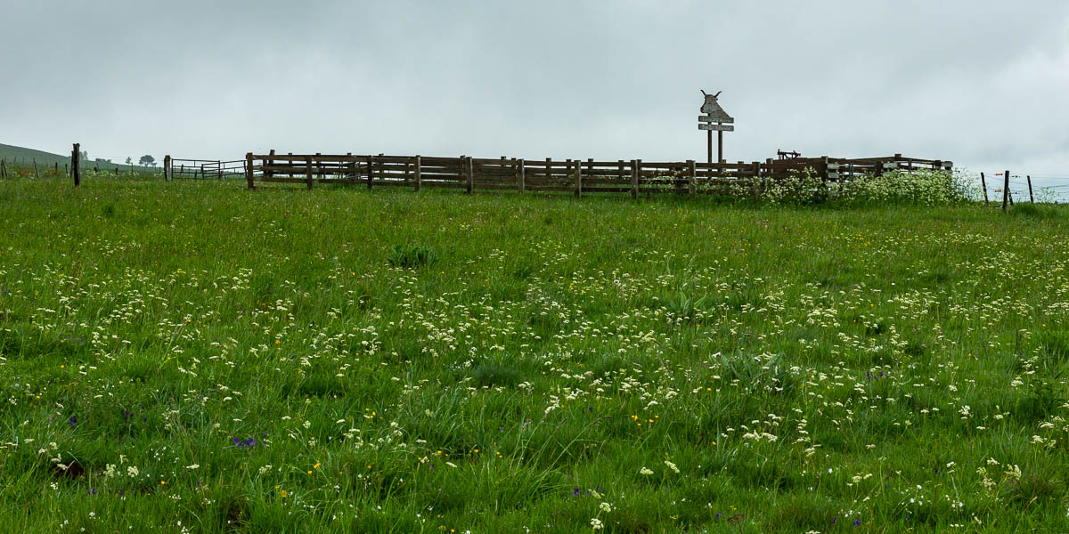 Parc à vaches