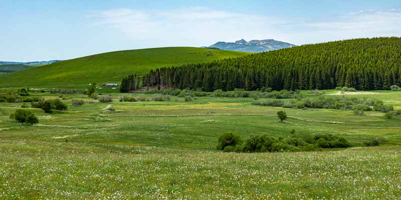 Sagnes de la Godivelle