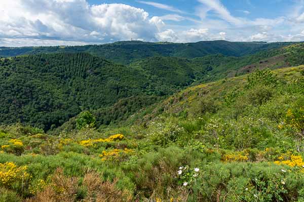 Gorges de Leyvaux