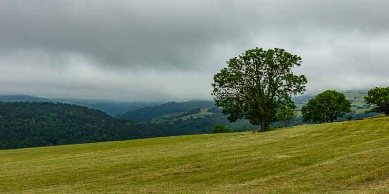 Près de Champ Roulier