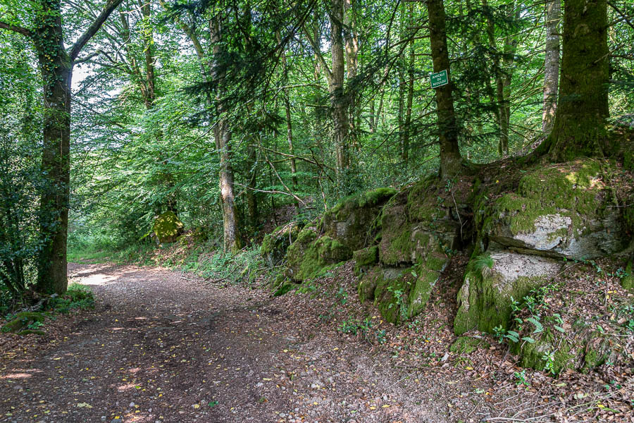 Chemin forestier près de Sauvan