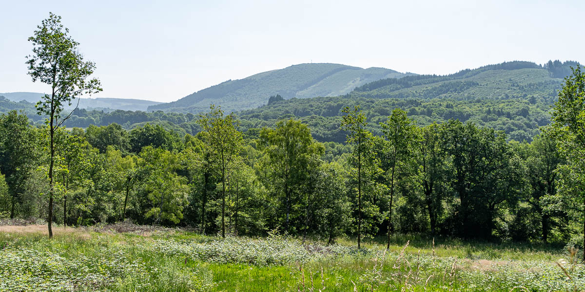 Puy de la Monédière, 922 m