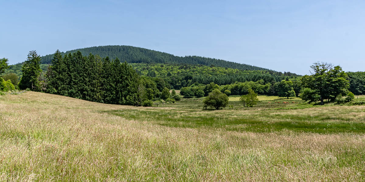 Suc au May et vaches 122 à 156