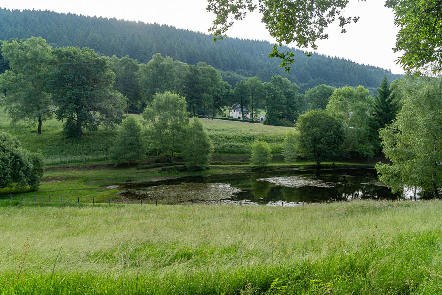Étang du Masmichel