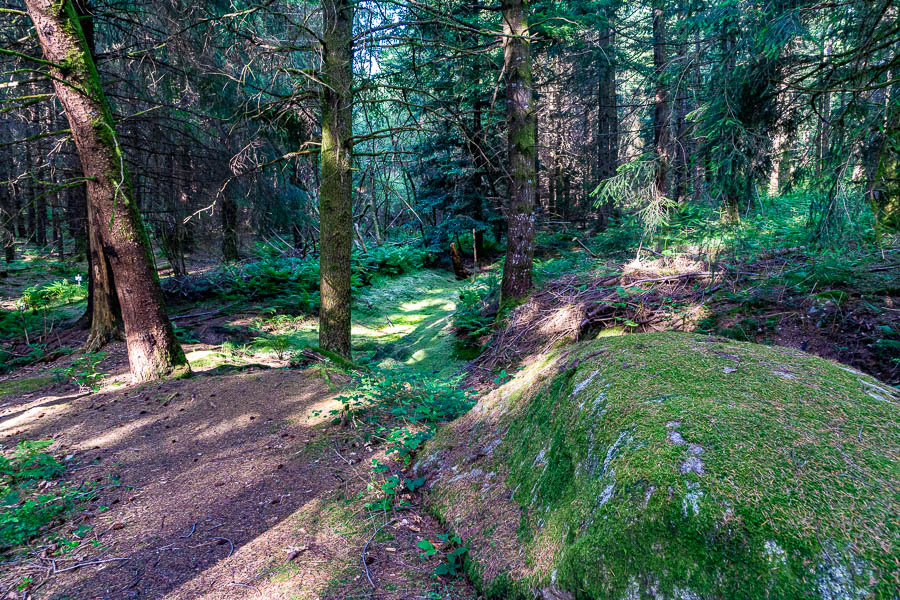 Source de la Corrèze