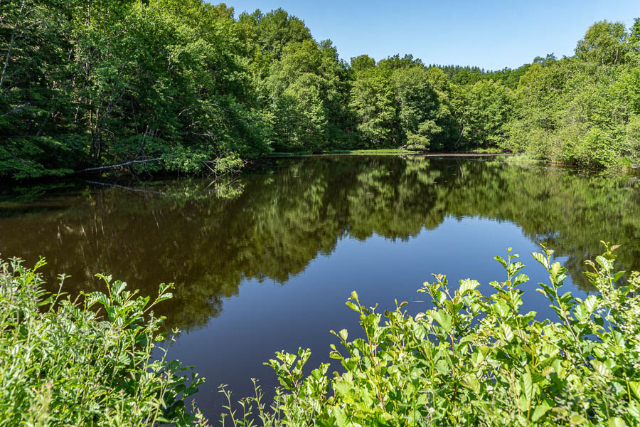 Étang du Montely