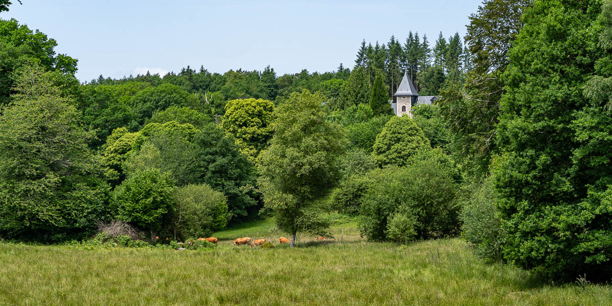 Mont Buchoux et vaches 722 à 735