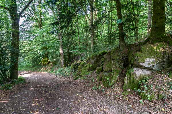 Chemin forestier près de Sauvan