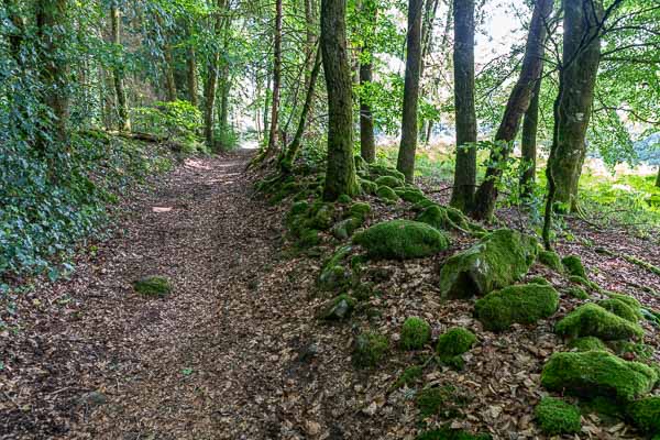Chemin forestier près de Sauvan