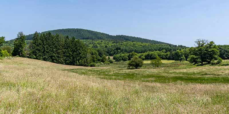 Suc au May et vaches 122 à 156