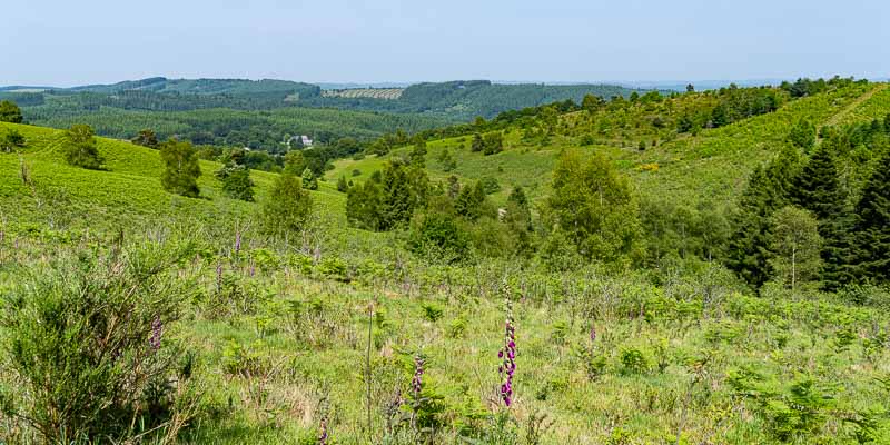 Ferme de la Monédière