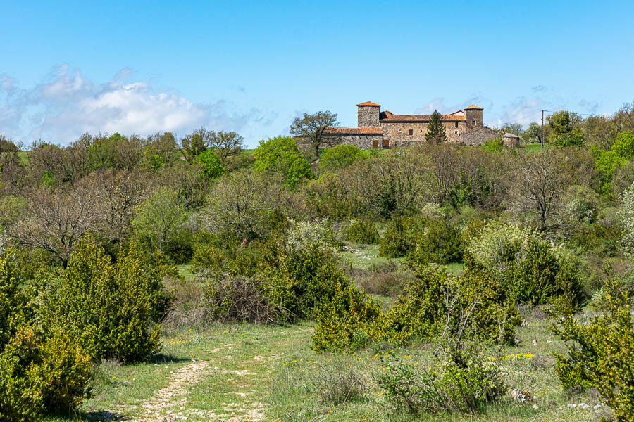 Château d'Assas