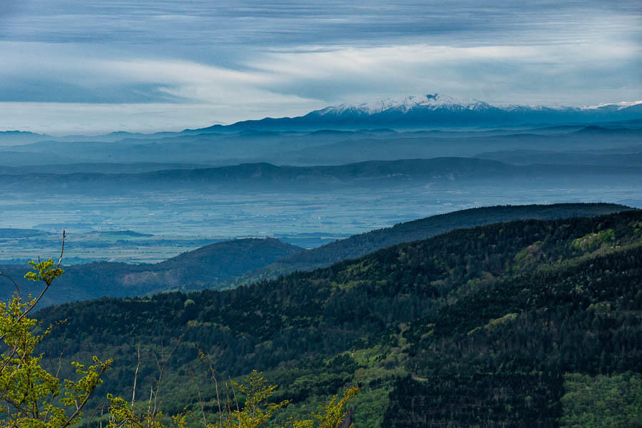 Pyrénées : Canigou