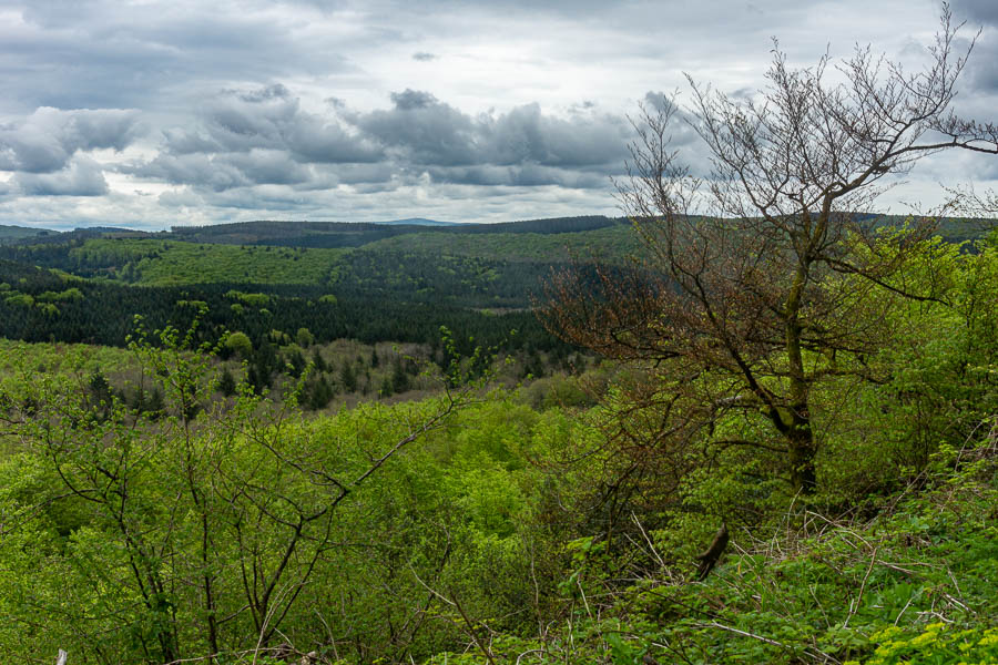 Vue vers le pic de Nore