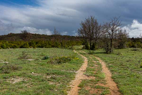 Causse de Blandas