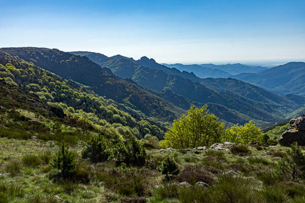 Vue sud vers le Montahut