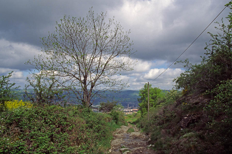 Chemin creux