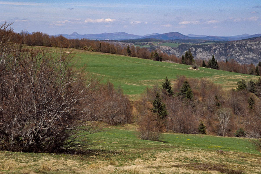 Plateau ardéchois