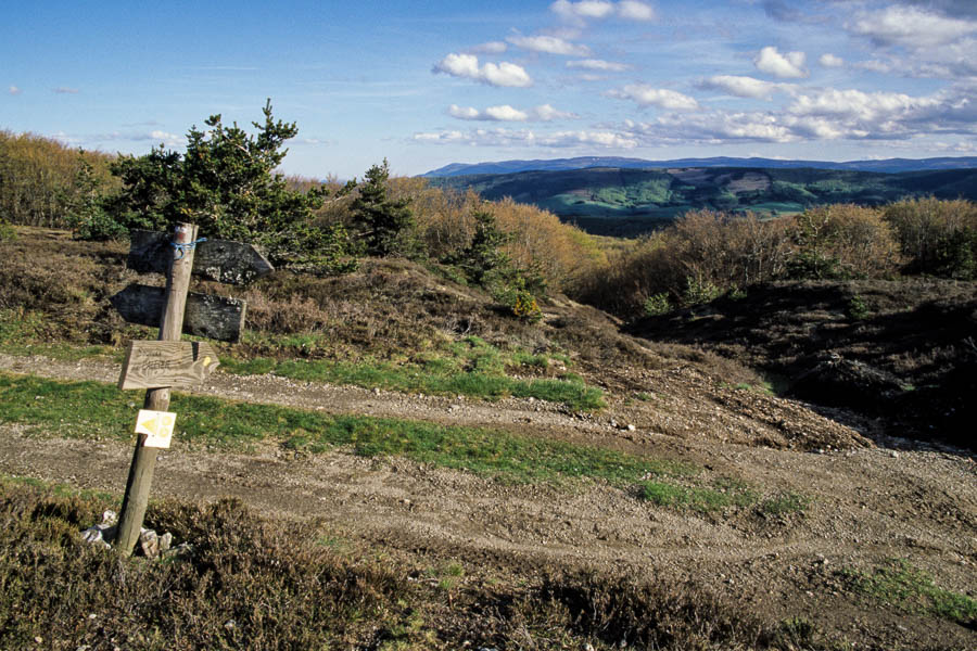 Source de l'Allier