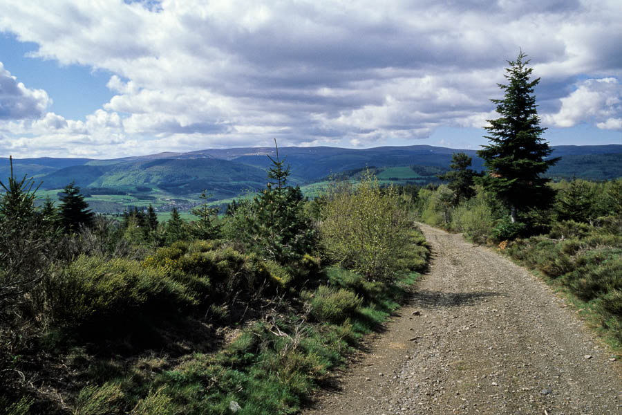 Piste, au loin le mont Lozère