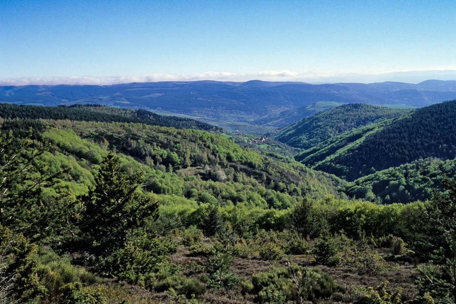 Vallon du Lozeret