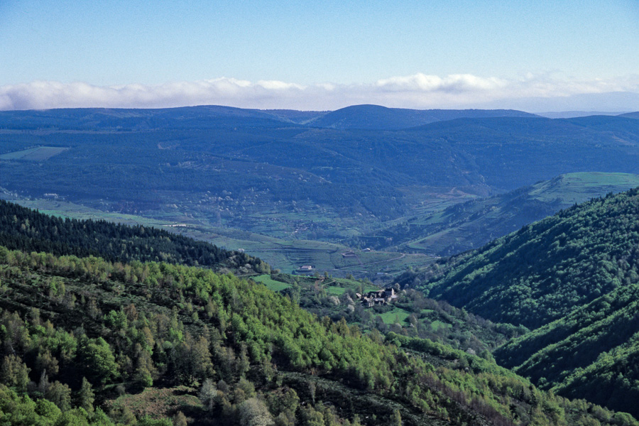 Vallon du Lozeret