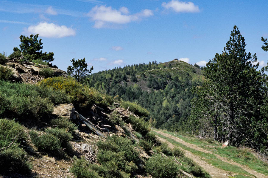 Signal de Ventalon, 1350 m, versant sud