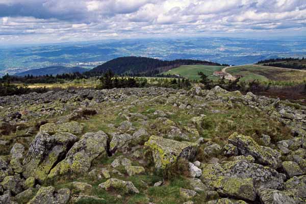 Crêt de la Perdrix, 1432 m : vue nord vers la Jasserie et Saint-Chamond