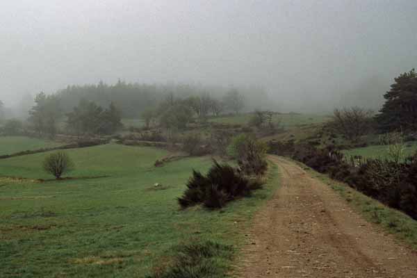 Chemin dans la brume