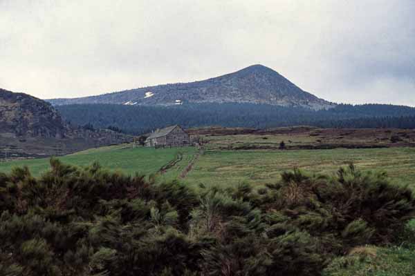 Le Mézenc, 1753 m, versant nord
