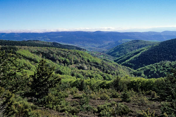 Vallon du Lozeret