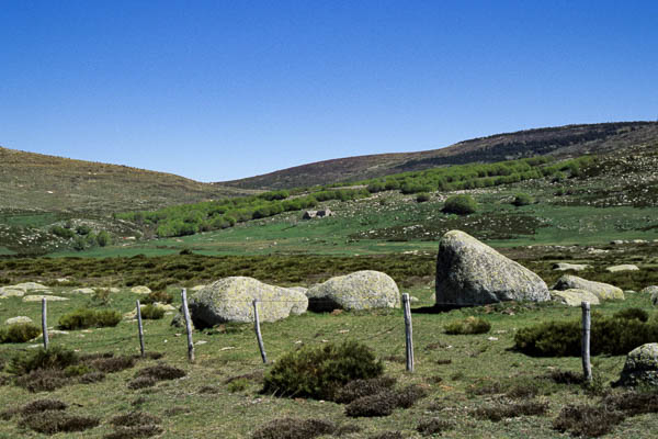 Maison isolée de Mas Camargues