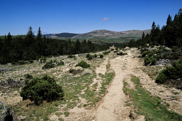 Draille du Languedoc