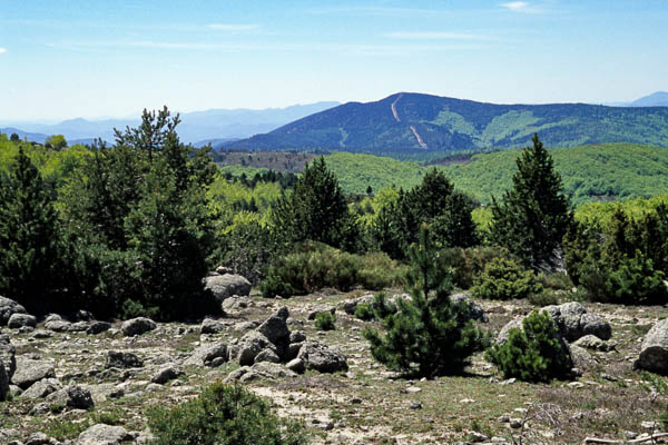 Signal de Ventalon