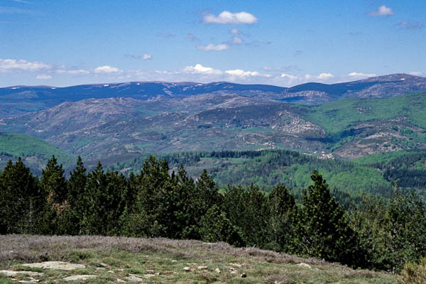 Vue nord du signal de Ventalon, mont Lozère