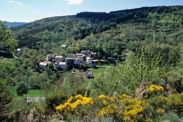 Le Rouve Bas depuis le col de Jalcreste