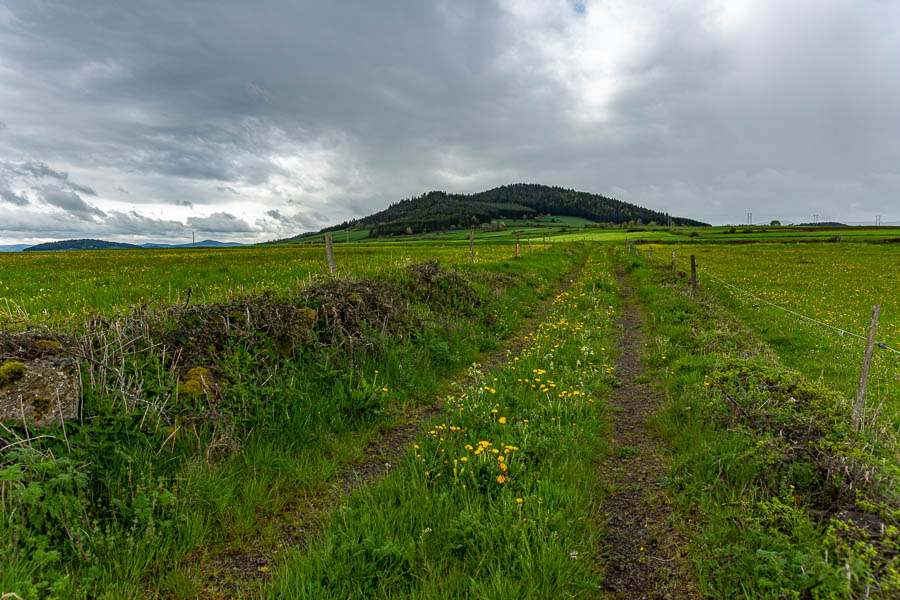 Taupinière volcanique