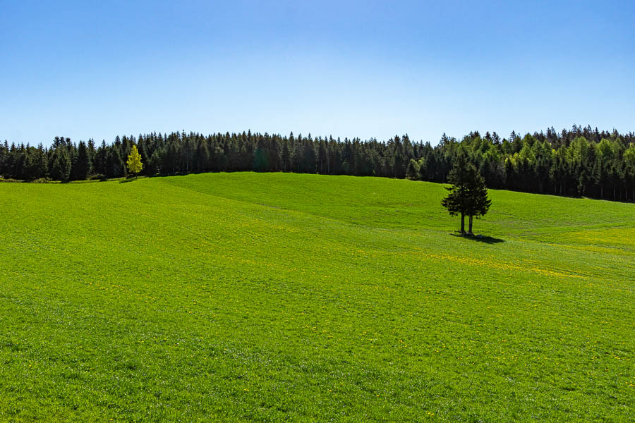 Gévaudan