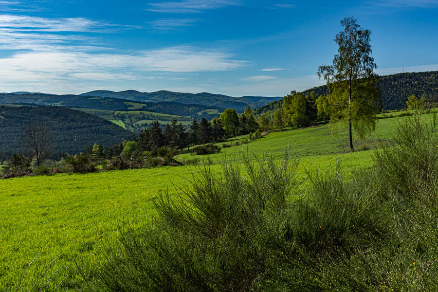 Gévaudan