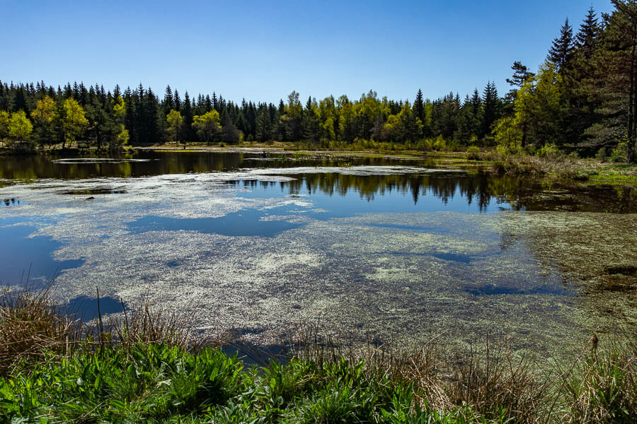 Lac de l'Abiauradou