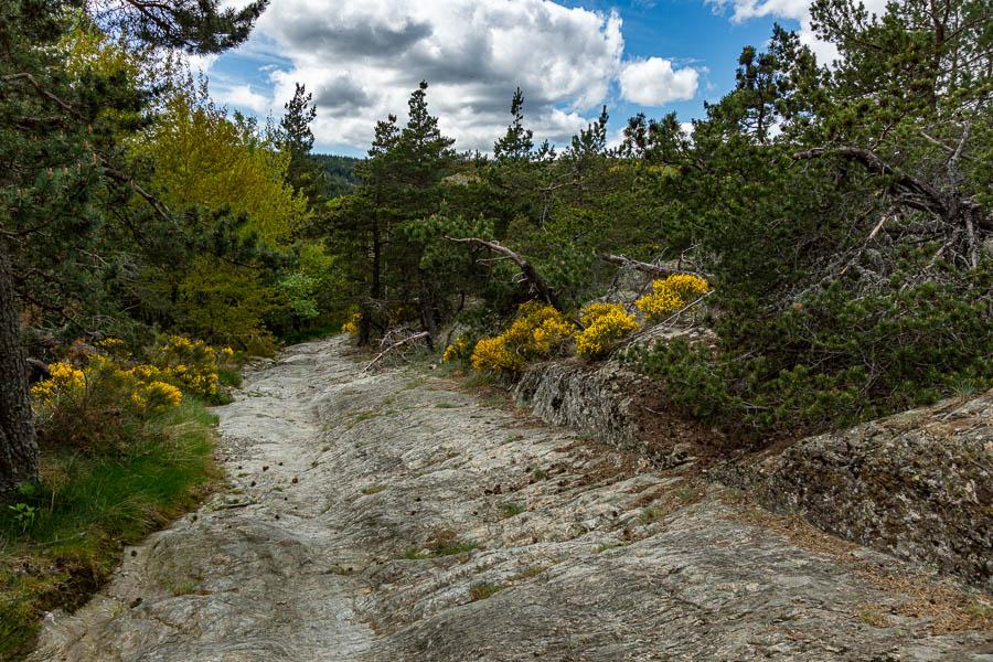 Chemin des charrois