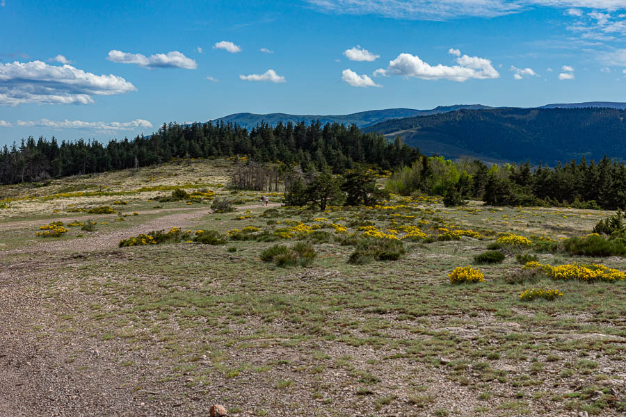 Plateau au-dessus de Prévenchères