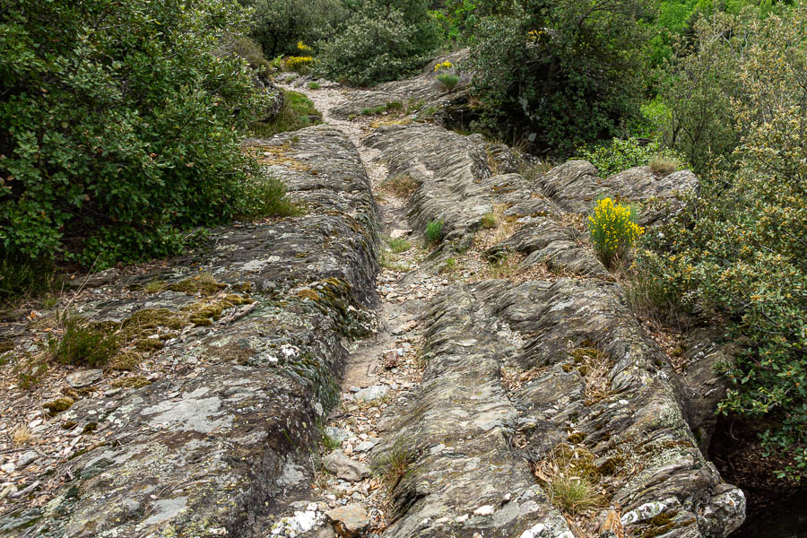 Chemin usé par les charrois