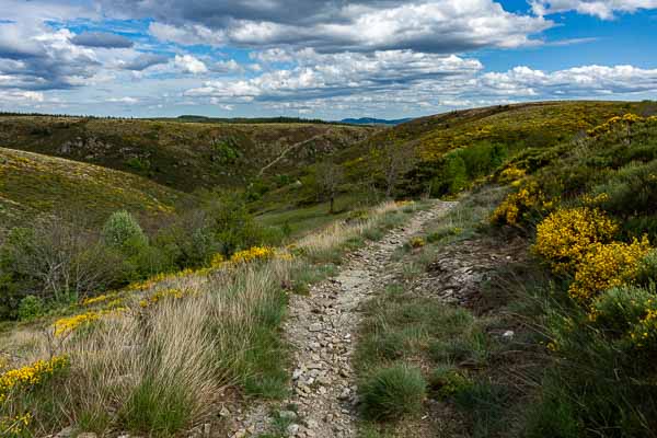 Sentier