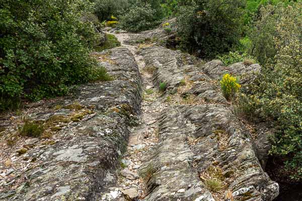 Chemin usé par les charrois
