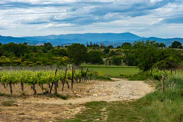 Près d'Alès, vue vers le mont Lozère